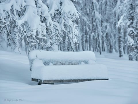 Staff, Natural landscape, Winter, Hiking