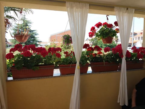 Balcony/Terrace, Garden view, Street view