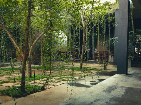 Natural landscape, Garden, Garden view