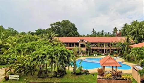 Garden, Garden view, Pool view