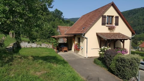 Property building, Garden view