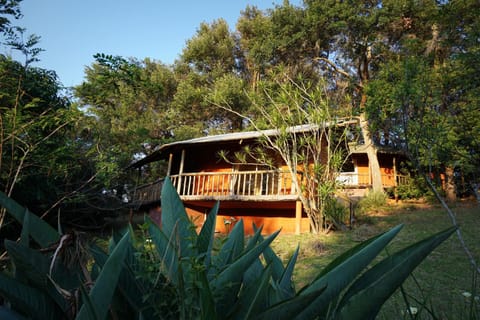 Garden, Massage, Spa and wellness centre/facilities