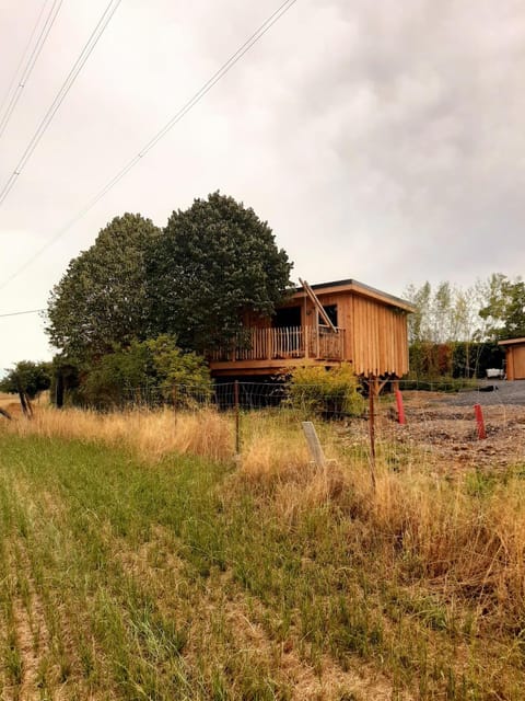 La Cabane Ofuro Nature lodge in Dinant