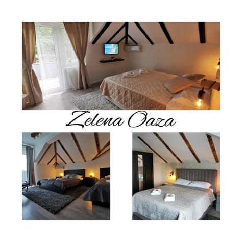 Kuca za odmor-Zelena Oaza Bed and Breakfast in Serbia