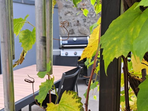 Patio, BBQ facilities, Balcony/Terrace
