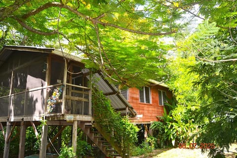 2BR Treetop Cottage Tropical Adventure, Maya Ruins San Ignacio Center Nearby House in San Ignacio