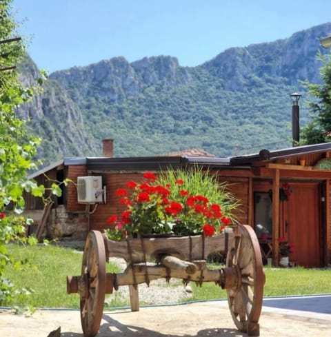 Spring, Natural landscape, Mountain view