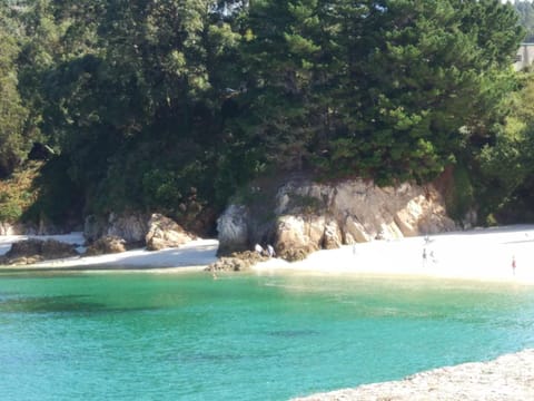 Beach, Canoeing, Diving