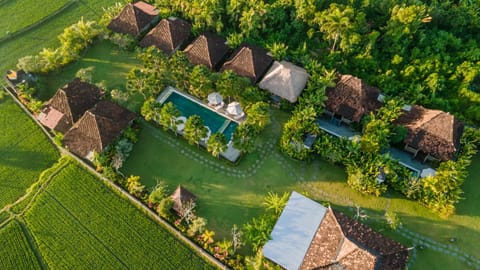 Property building, Natural landscape, Bird's eye view, Garden view, Swimming pool