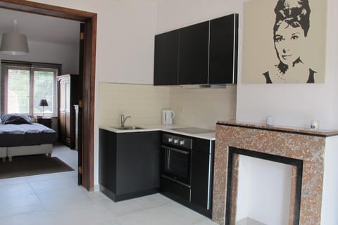 Brussels Downtown with terrace Apartment in Brussels