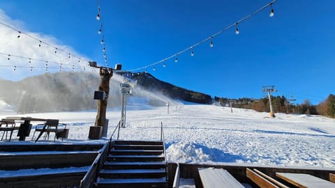 Apartments Bedanc Apartment in Friuli-Venezia Giulia