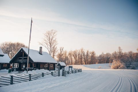 Winter