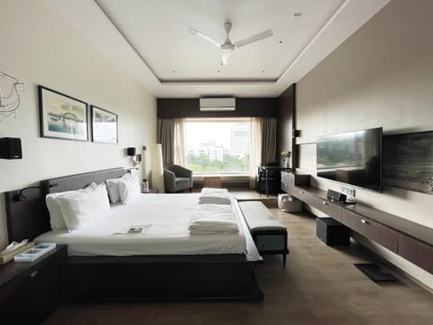 Bed, TV and multimedia, View (from property/room), Photo of the whole room, Bedroom, fireplace, air conditioner
