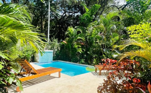 Swimming pool, Swimming pool