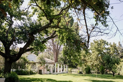 Natural landscape, Garden