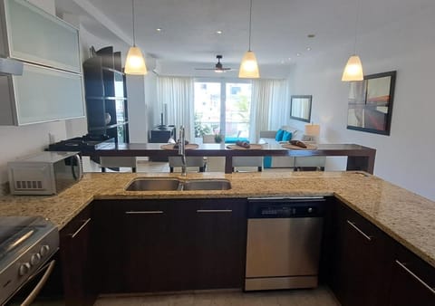 Kitchen or kitchenette, dishwasher, stove