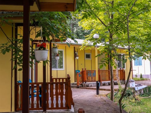 Property building, Patio, Garden, Other, furniture