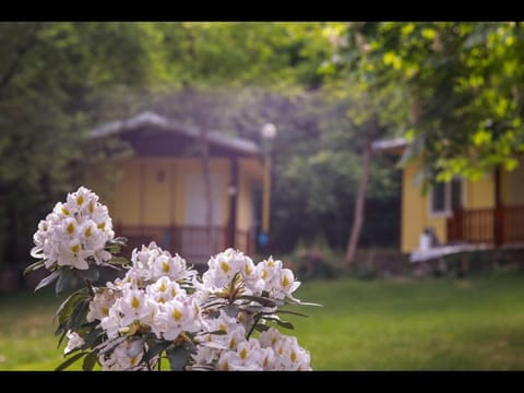 Garden, Garden view