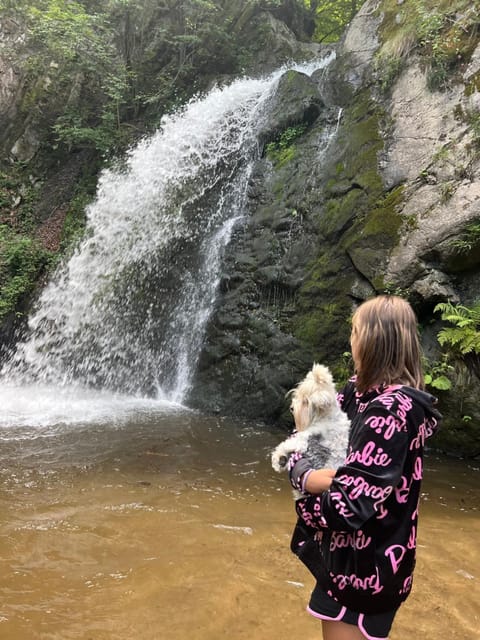 La Păstrăvărie Bed and Breakfast in Serbia