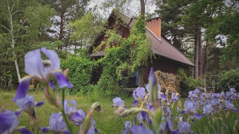 Property building, Natural landscape