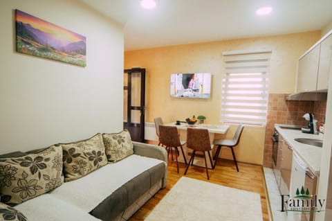 TV and multimedia, Kitchen or kitchenette, Living room, Photo of the whole room, Seating area, Dining area