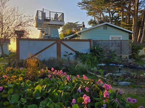 Property building, Garden