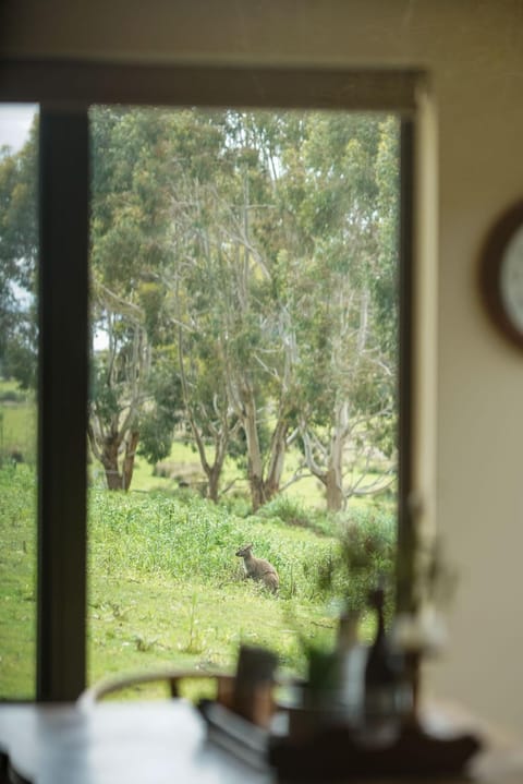 Adventure Bay Retreat Bruny Island Nature lodge in South Bruny