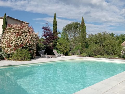 Garden, Garden view, Swimming pool, sunbed