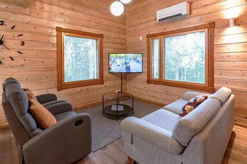 TV and multimedia, Living room, Seating area, air conditioner