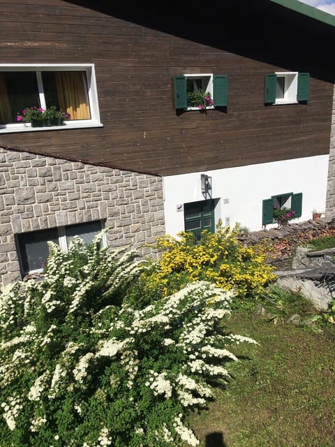 Property building, Garden, Garden view