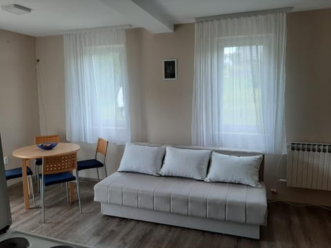 Apartman Narcis Polje Apartment in Zlatibor District, Serbia