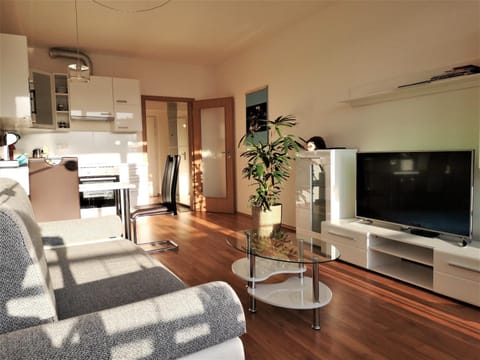 TV and multimedia, Kitchen or kitchenette, Living room, Seating area, Dining area, Bedroom