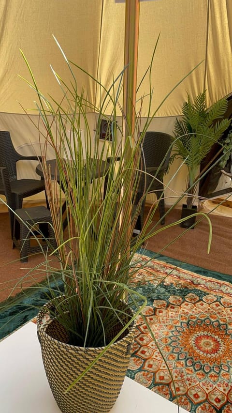 Bell Tent Village Parks Luxury tent in Nottingham