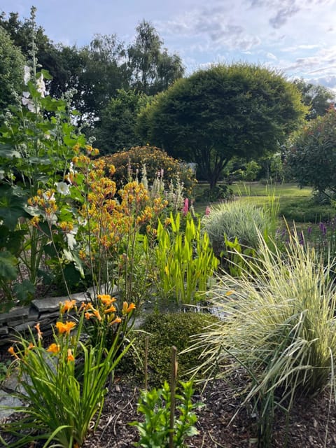 Studio GîTE COSY sur Jardin House in Finistere
