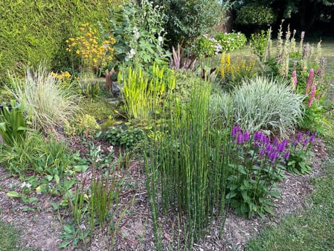 Studio GîTE COSY sur Jardin House in Finistere