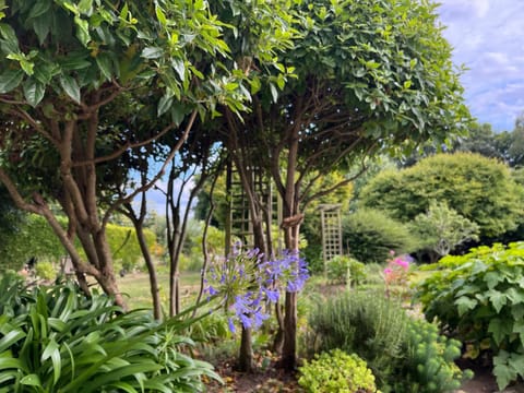 Studio GîTE COSY sur Jardin House in Finistere