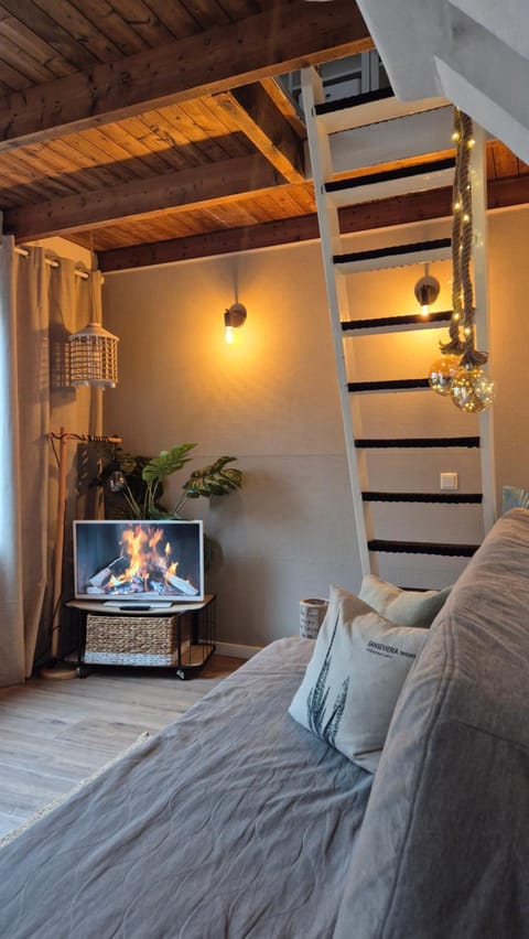 cottage near the beach in the center.**** House in Noordwijk