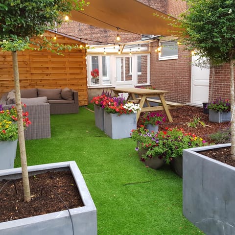 Summer, Garden, Garden view