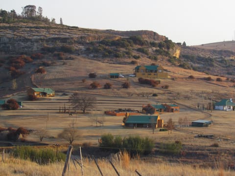 Day, Winter, Area and facilities