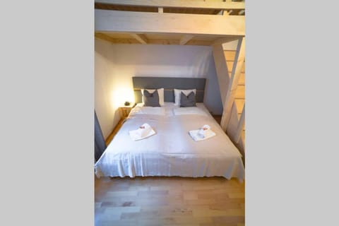 Cosy and Spacious Apartment in the heart of Innsbruck Apartment in Innsbruck