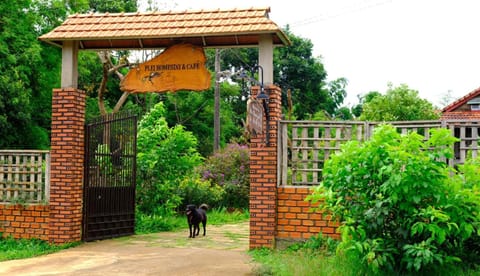 Property building, Natural landscape, Garden