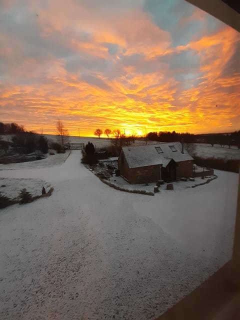 Natural landscape, Winter, Sunset