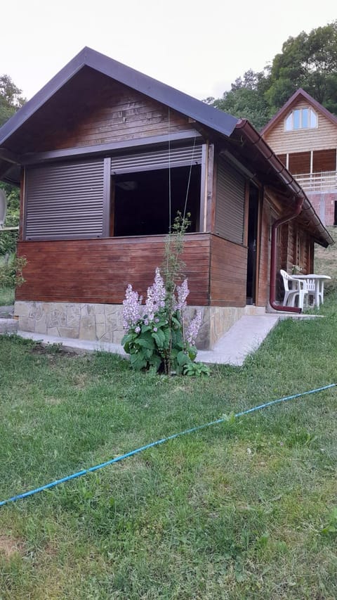 Vikendica Mijajlović 2 House in Serbia