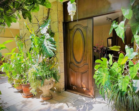 Property building, Spring, Day, Garden view