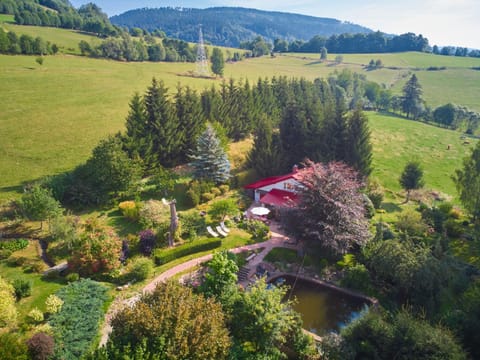 Natural landscape, Bird's eye view, Garden, Garden view