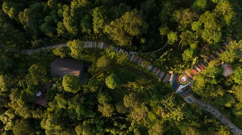 Natural landscape, Bird's eye view