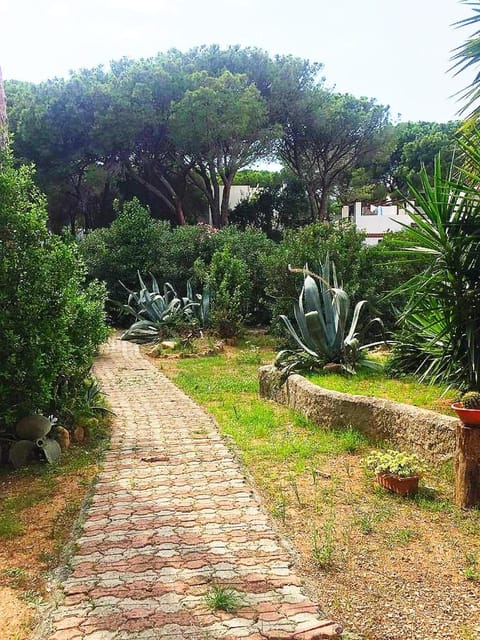 Villa Dei Pini IUN S3571 Apartment in Sardinia