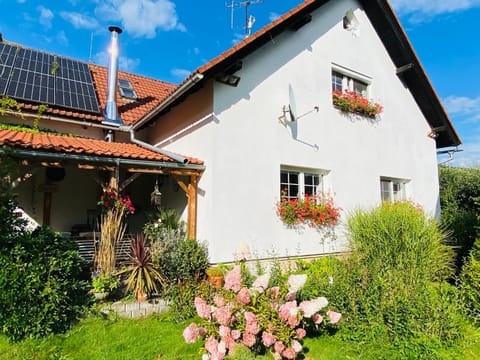 Property building, Day, Summer, Garden, Garden view