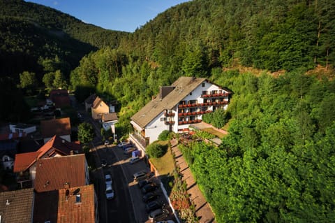 Activities, Bird's eye view, Summer, Garden view, Location