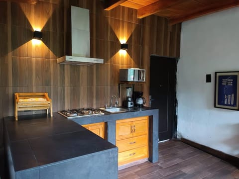 Kitchen or kitchenette